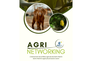 Agri-Networking : un temps fort pour les professionnels de l’agriculture