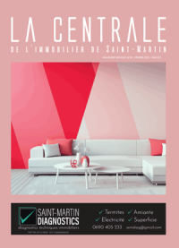 CENTRALE DE L'IMMOBILER SAINT MARTIN nº60