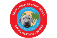 Le Coin des Toutous : n’oubliez pas de stériliser votre chien
