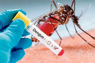 Dengue : Les îles du Nord entrées en phase épidémique