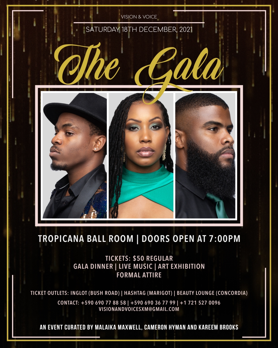 Spectacle : Vision & Voice, le gala