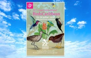 Conférence internationale sur les oiseaux des Caraïbes