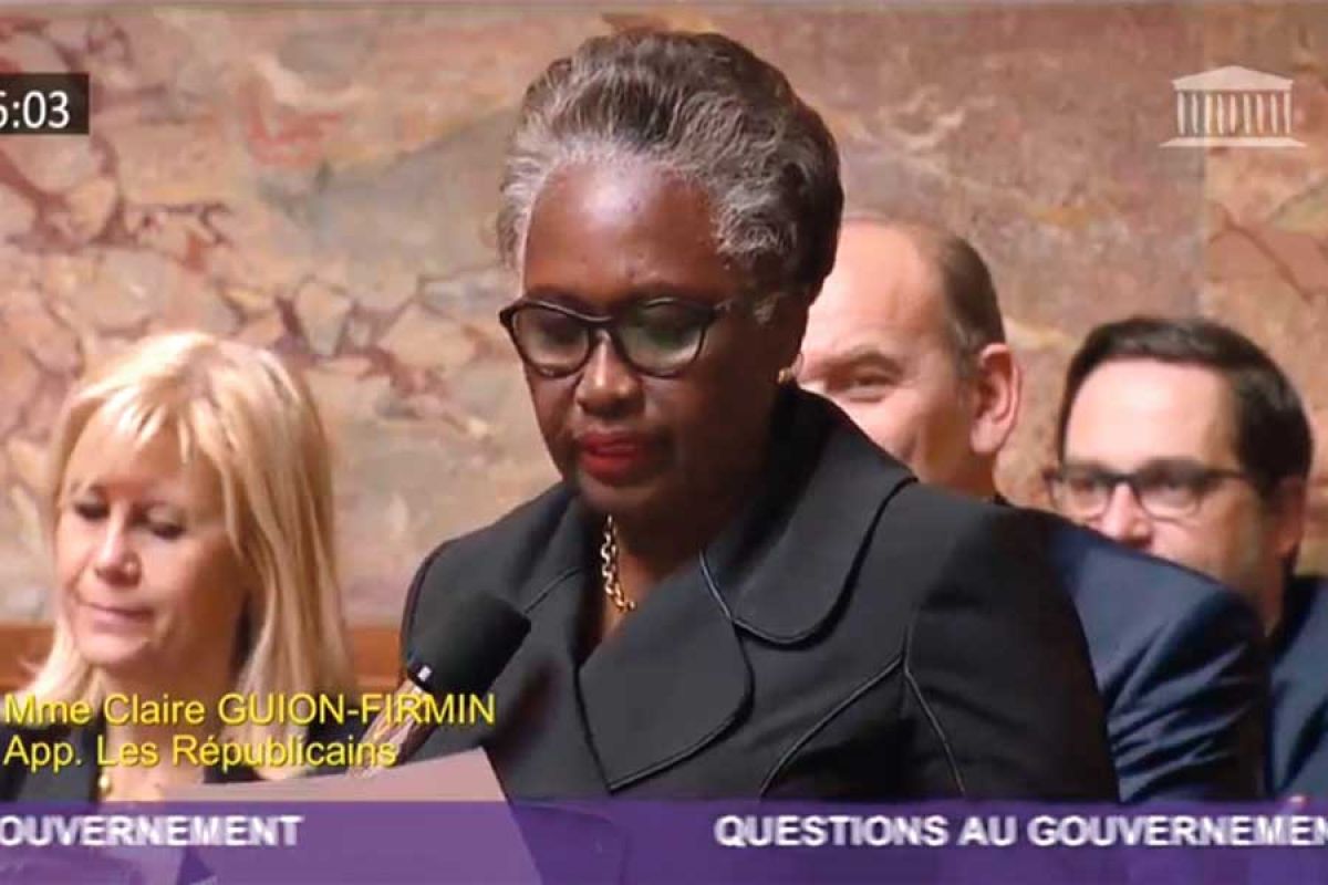 Assemblée : La députée Guion-Firmin adresse une question au premier ministre, qui botte en touche