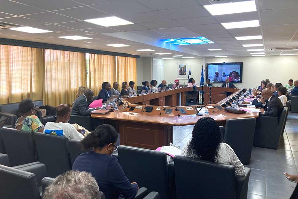 Le projet d'acquisition d’Air Antilles par la Collectivité fait débat