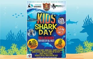 Kids Shark Day