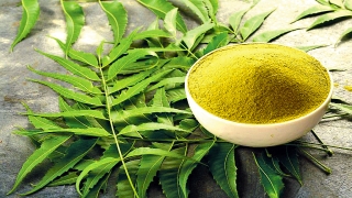 Recette de masque pour cheveux à la poudre de neem