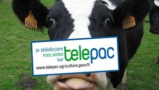 Agriculteurs : se déclarer à TELEPAC pour obtenir des aides