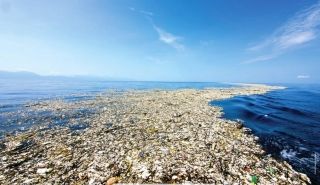 Pollution marine dans  les Caraïbes : plus une minute  à perdre !