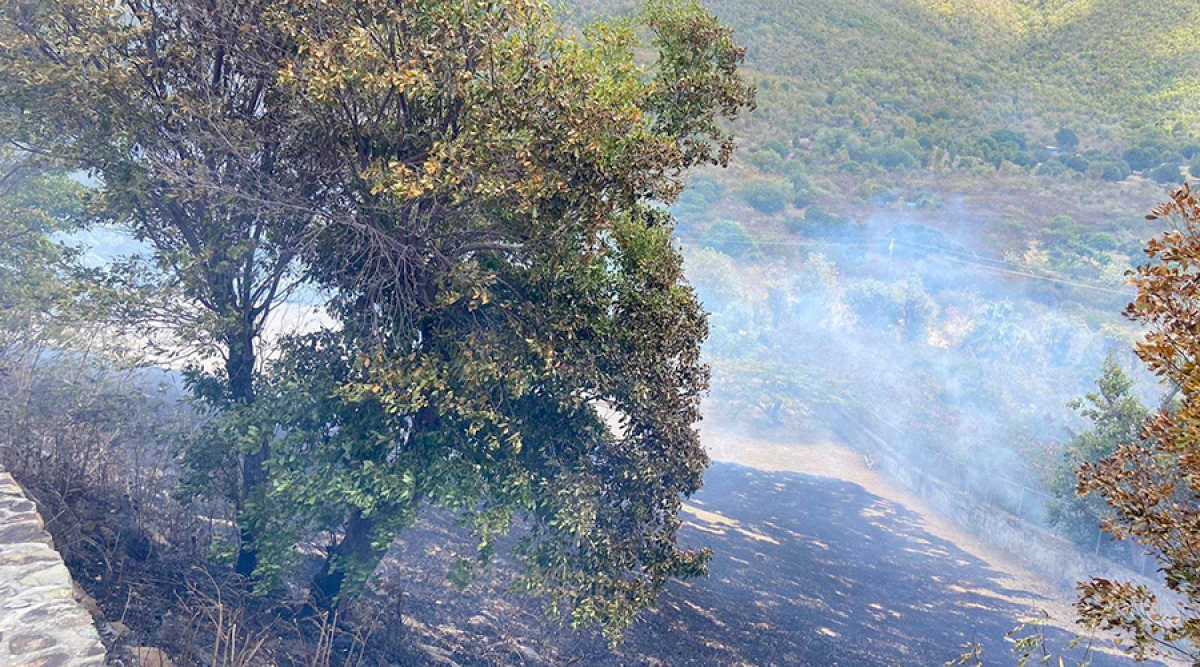 Important feu de broussailles à Bellevue